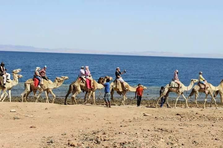 Sea Soul Hotel Dahab Exteriér fotografie