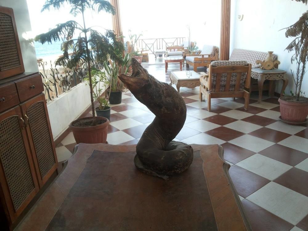 Sea Soul Hotel Dahab Exteriér fotografie